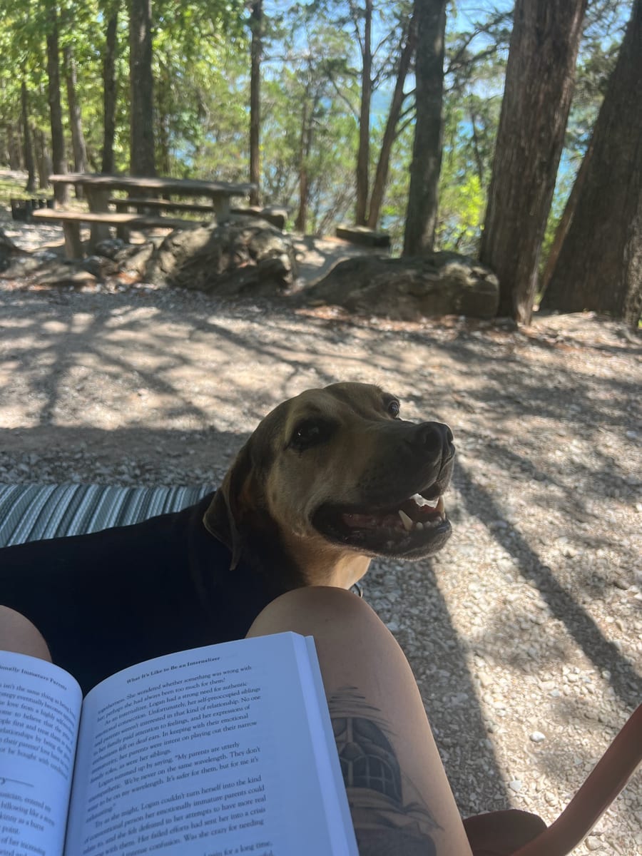 Goose grinning in the shade next to his person at a picnic area